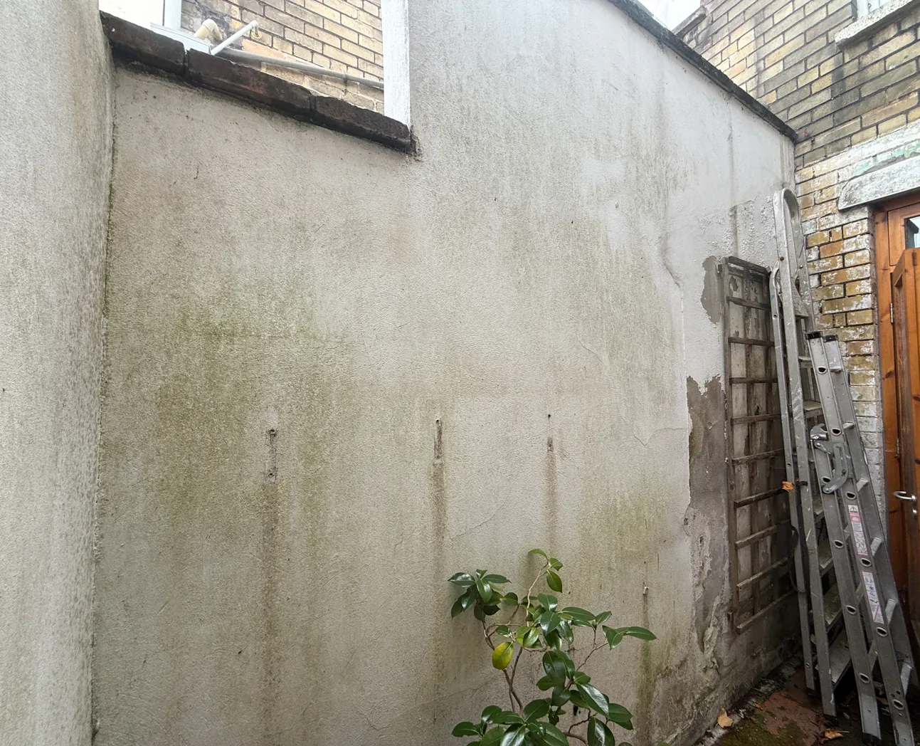 Blown, cracked and algae-stained original render damaged by rising damp on a shared party wall in Bedminster, Bristol